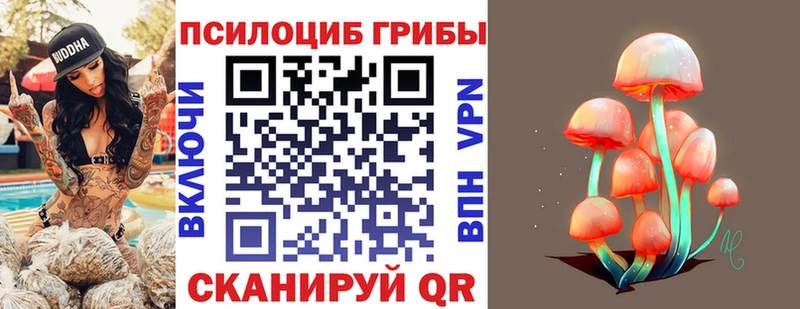 магазин  наркотиков  hydra маркетплейс  Псилоцибиновые грибы Magic Shrooms  Дудинка 